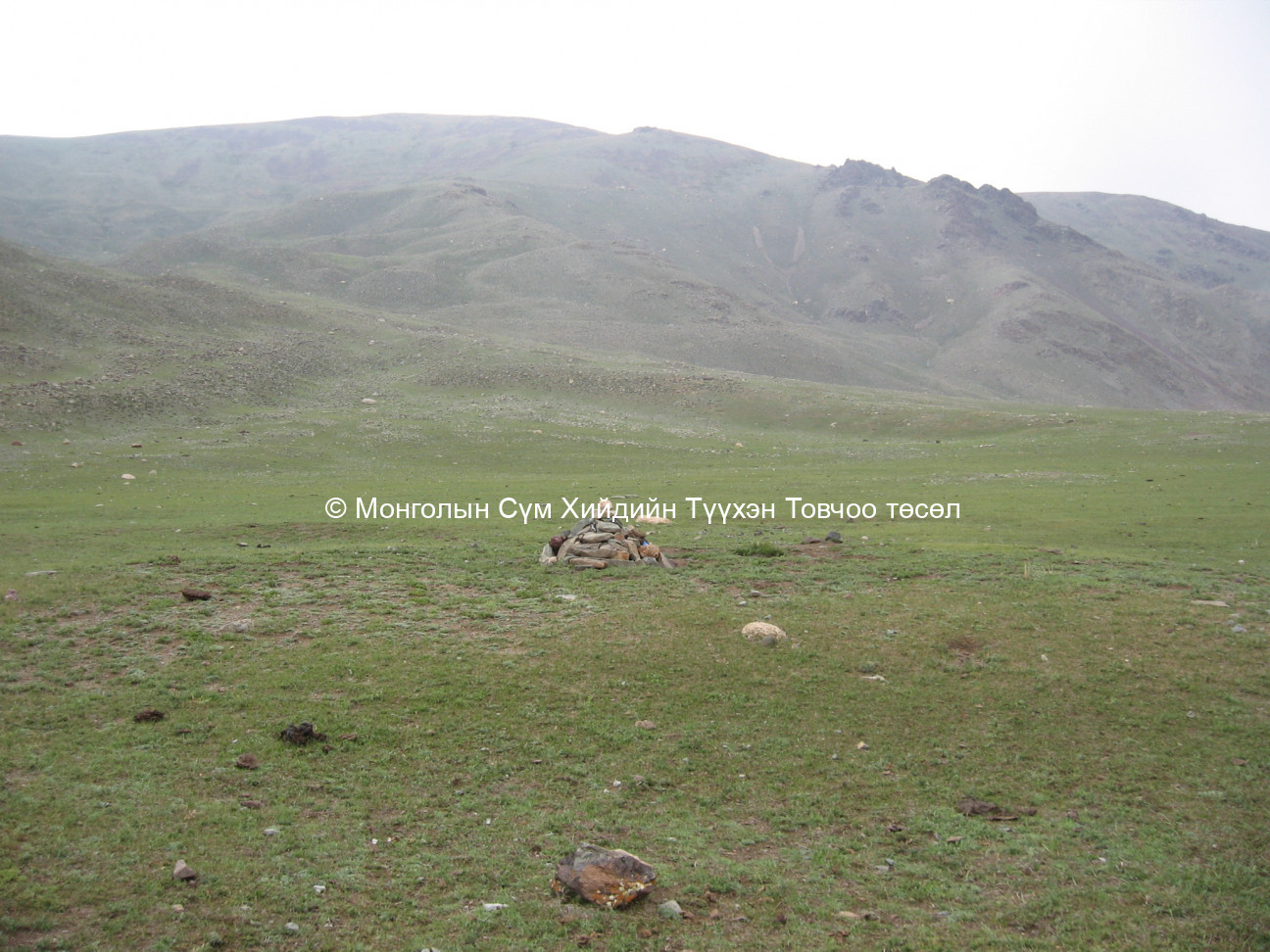 Баруун талаас авсан